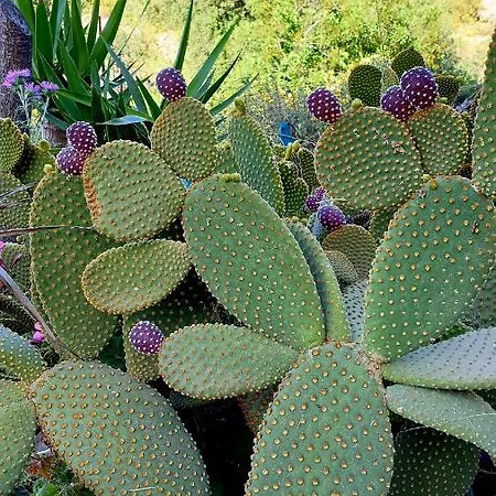 Roumatsali - Hidden 2br Historical Gem Appartement *