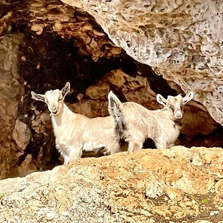 Roumatsali - Hidden 2br Historical Gem Daire *