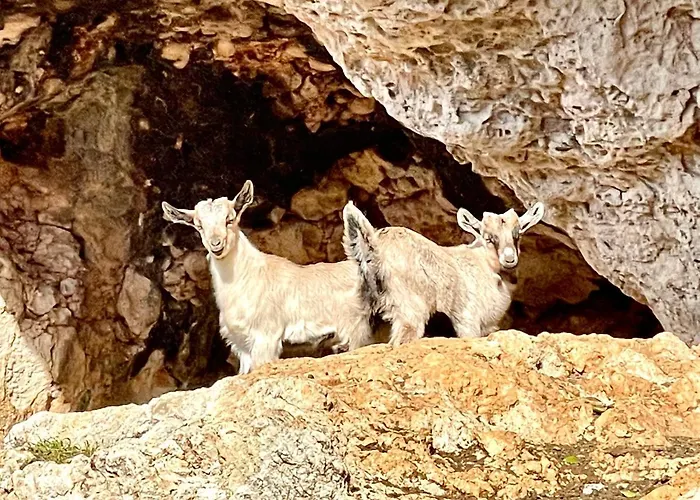 Roumatsali - Hidden 2br Historical Gem Daire *